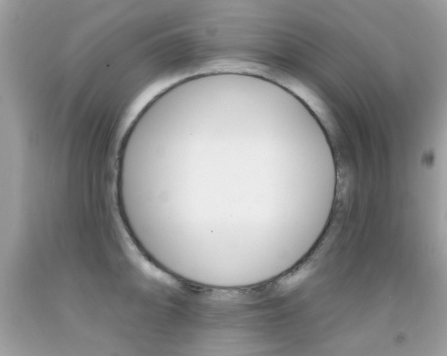 X0000092081094200709121101