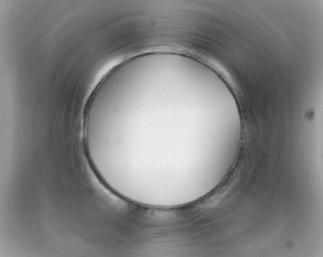 X0000092081095200709121100