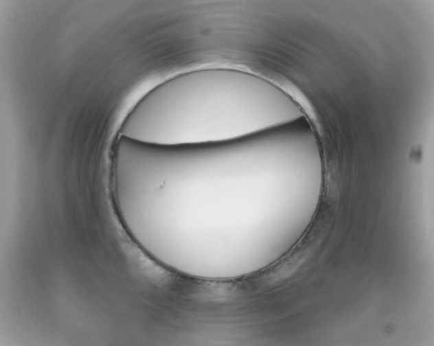 X0000092081096200709121100