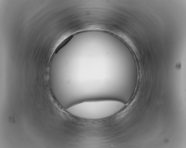 X0000092081097200709121100