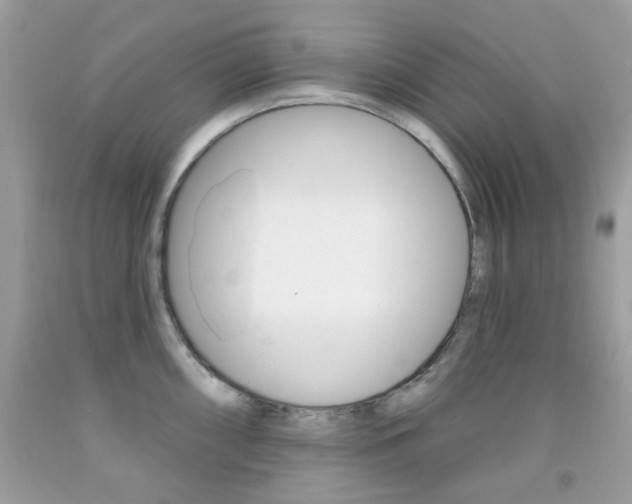 X0000092081098200709121100