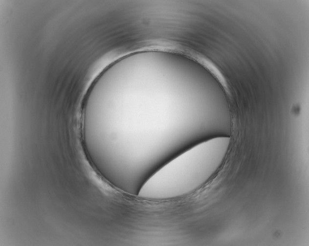 X0000092081099200709121100