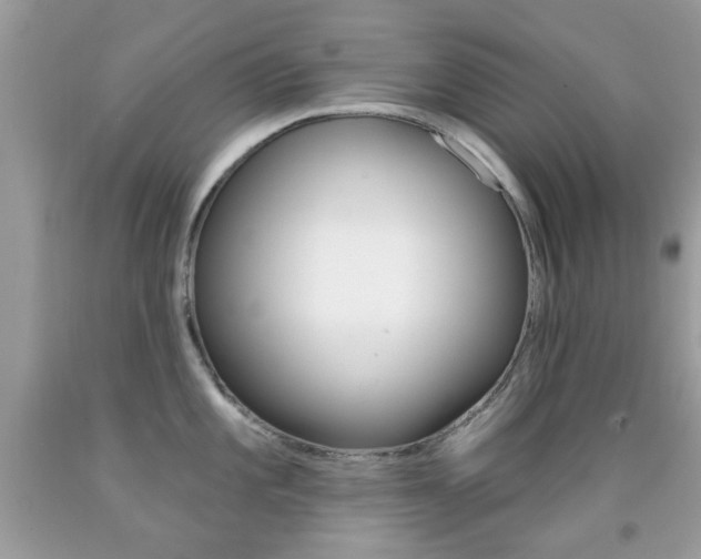 X0000092081101200709121100