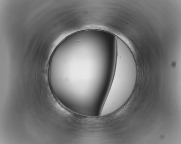 X0000092081102200709121100