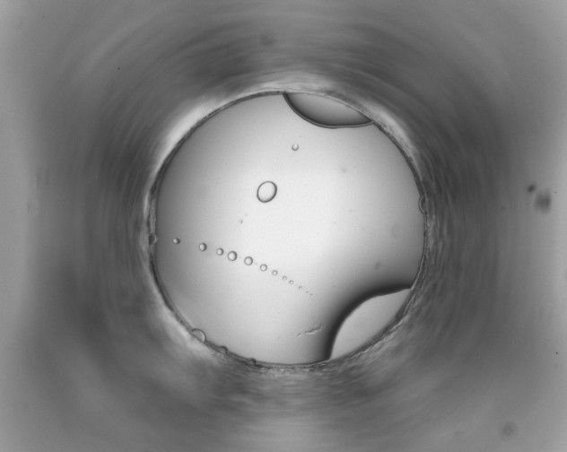 X0000092081103200709121100