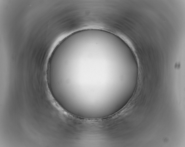 X0000092081104200709121100