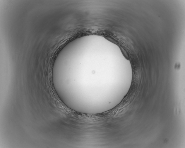 X0000092081105200709121100