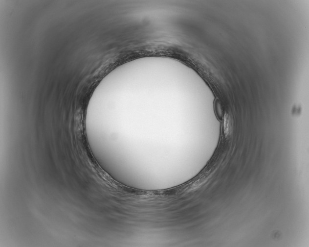 X0000092081107200709121100