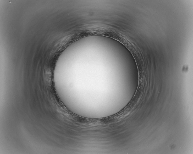 X0000092081108200709121100