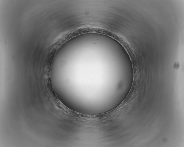 X0000092081110200709121100