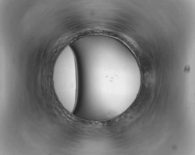 X0000092081111200709121100