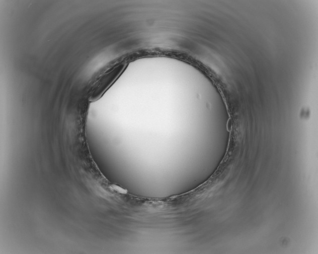X0000092081112200709121100