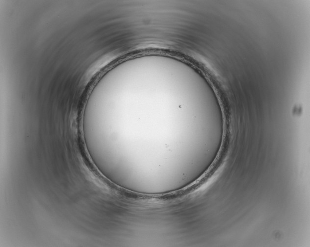 X0000092081113200709121100