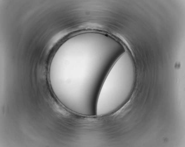 X0000092081115200709121100