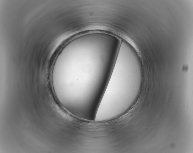 X0000092081116200709121100