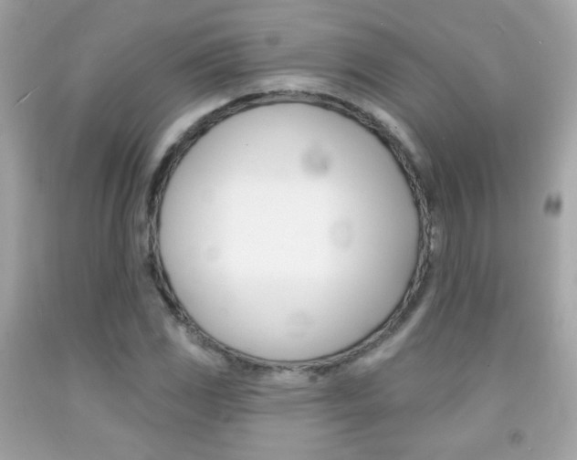 X0000092081117200709121100