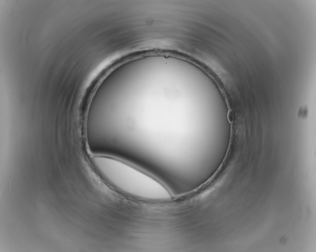 X0000092081118200709121100