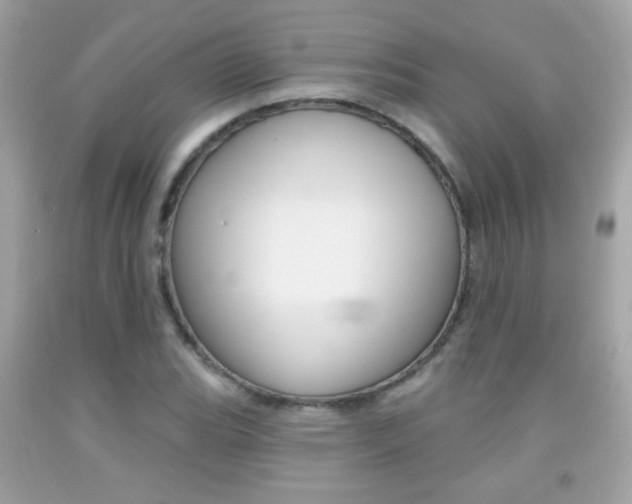 X0000092081119200709121100