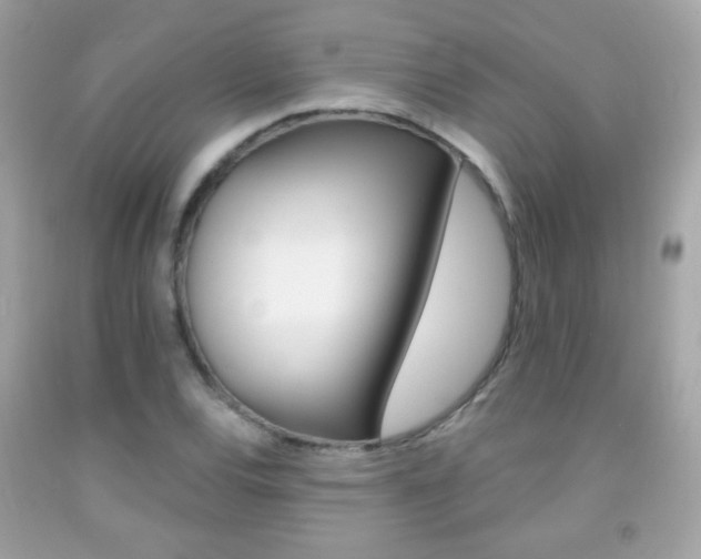 X0000092081120200709121100