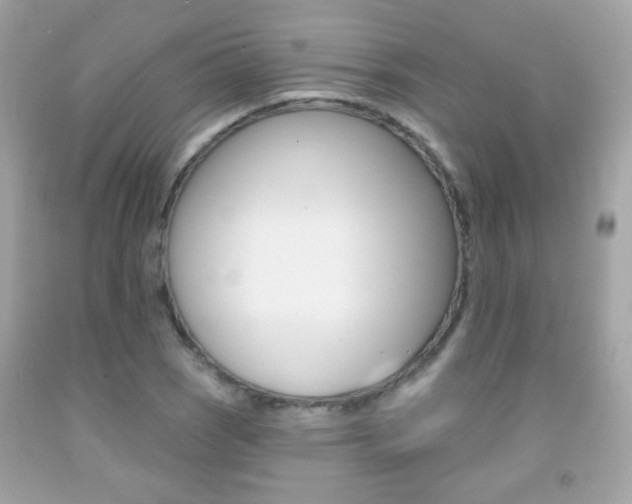 X0000092081121200709121100