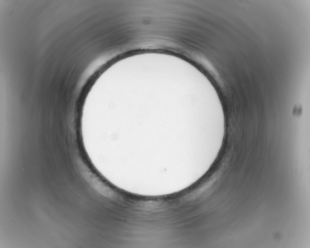 X0000092081122200709121100