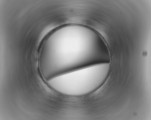X0000092081123200709121100
