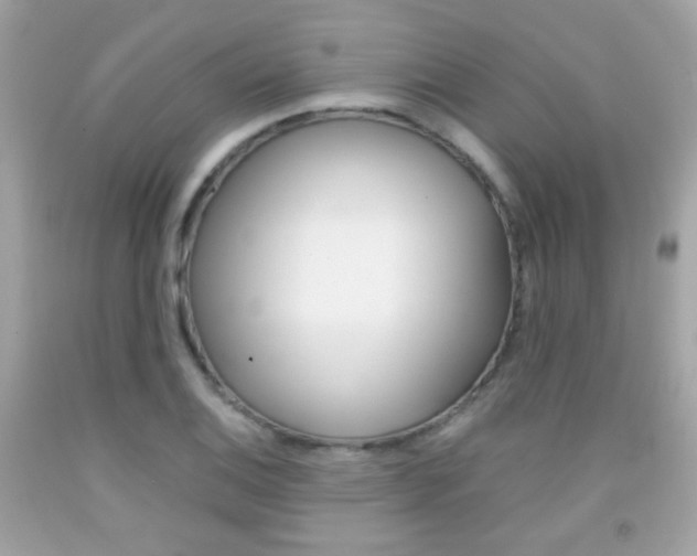 X0000092081124200709121100