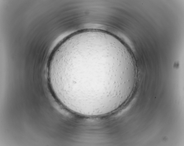 X0000092081125200709121100