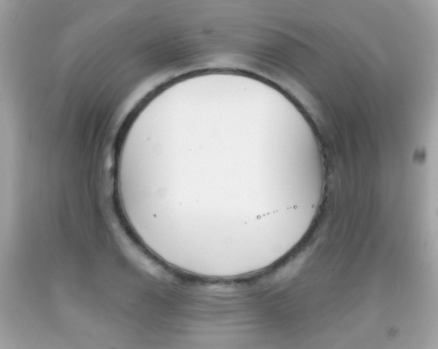 X0000092081126200709121100