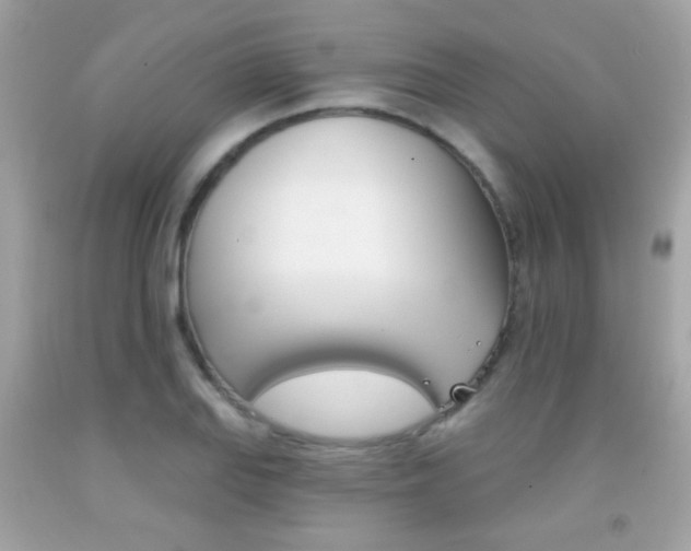 X0000092081127200709121100