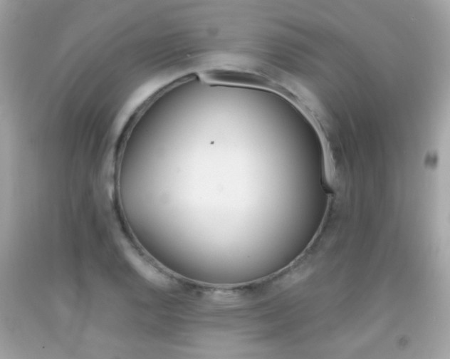 X0000092081128200709121100