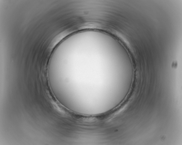 X0000092081129200709121100
