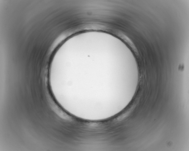 X0000092081130200709121100