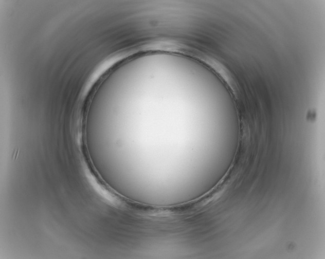 X0000092081131200709121100