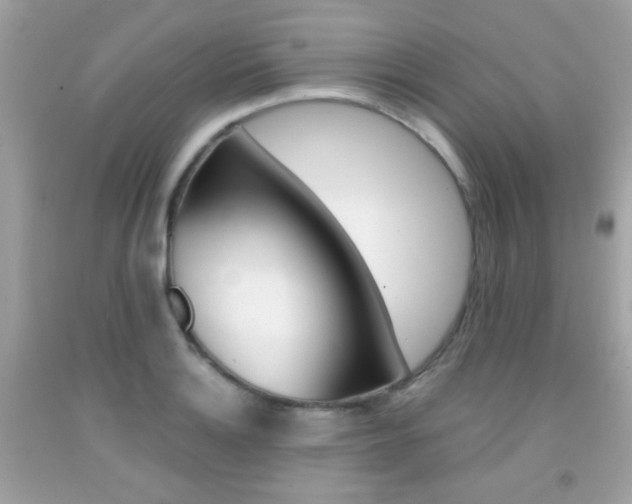 X0000092081132200709121100