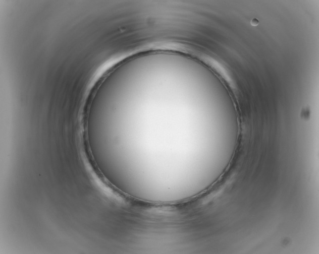 X0000092081133200709121100