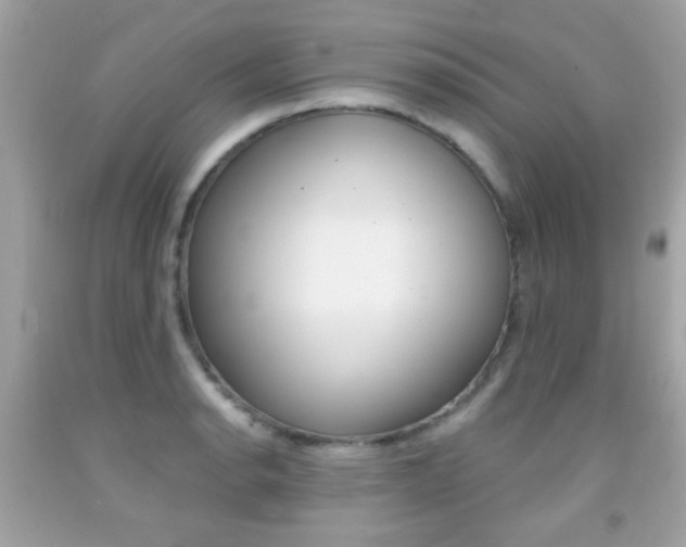 X0000092081134200709121100