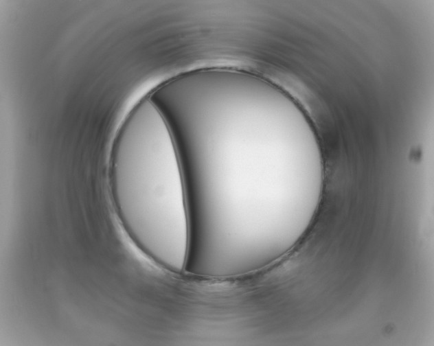 X0000092081135200709121100
