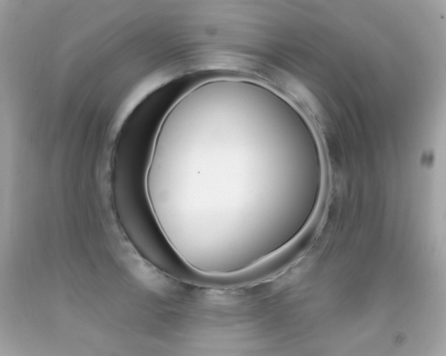 X0000092081138200709121100