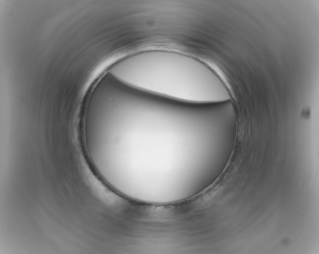 X0000092081139200709121100