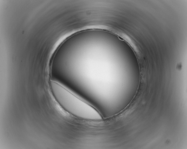 X0000092081140200709121100