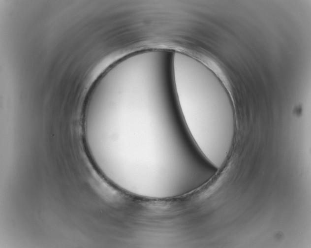 X0000092081141200709121100