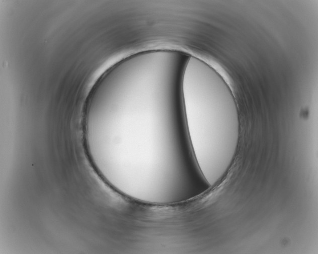 X0000092081142200709121100