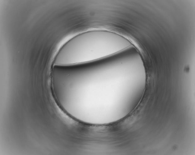 X0000092081143200709121100