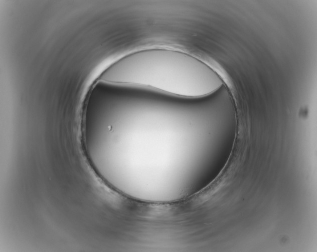 X0000092081144200709121100