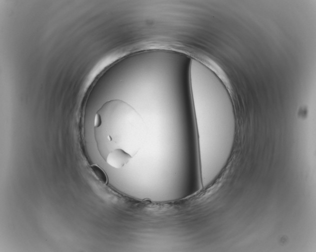 X0000092081146200709121100
