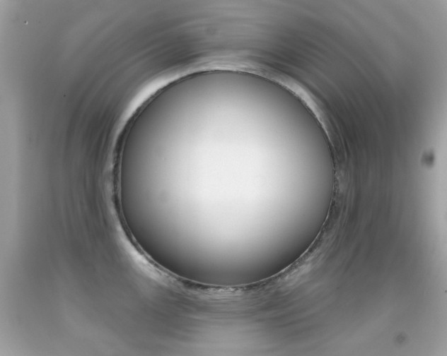 X0000092081147200709121100