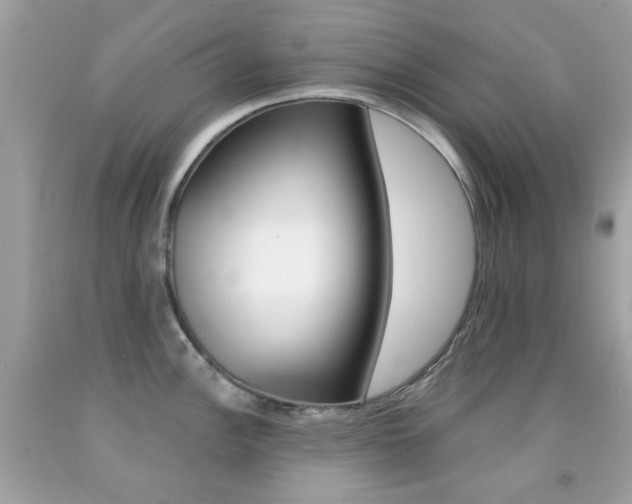 X0000092081148200709121100