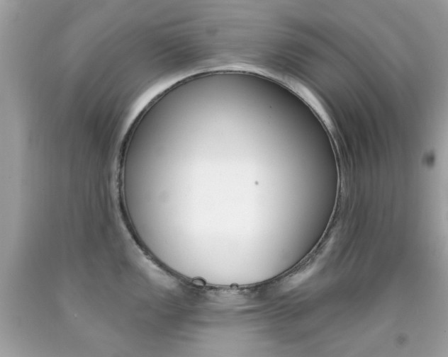 X0000092081149200709121100