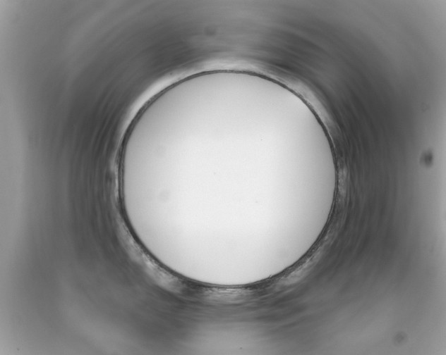 X0000092081150200709121100